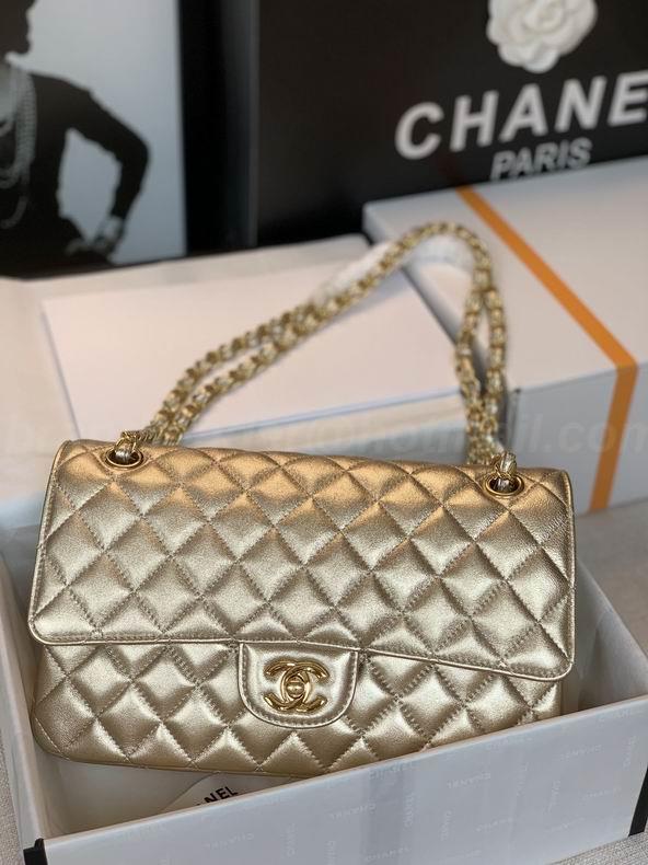 Chanel Handbags 309